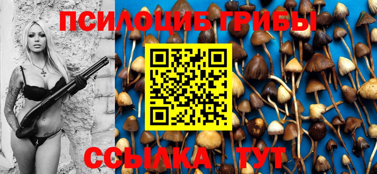 купить закладку  Галлюциногенные грибы Psilocybe  Городец  Вход с VPN  Галлюциногенные грибы мухоморы 