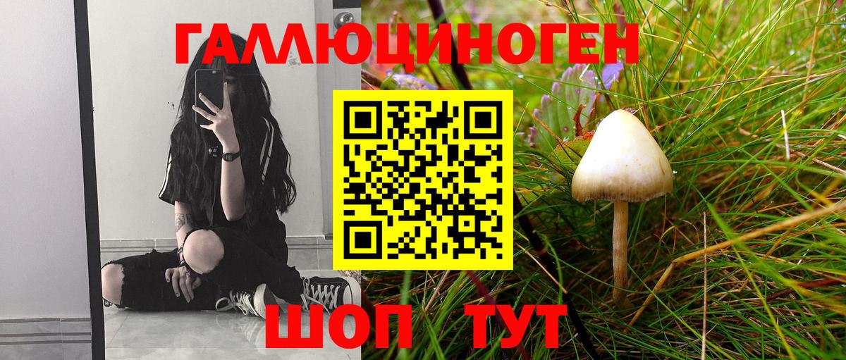 Галлюциногенные грибы Magic Shrooms Городец